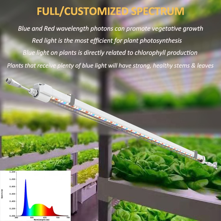T5 Grow Lights 4ft Hydroponics - Grow Light T5 ulasan dan harga