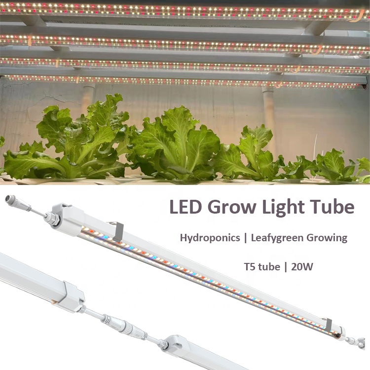 T5 Grow Lights 4ft Hydroponics - Grow Light T5 ulasan dan harga